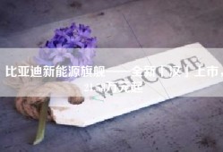 比亚迪新能源旗舰——全新「汉」上市，21.58万元起