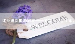 比亚迪新能源旗舰——全新「汉」上市，21.58万元起
