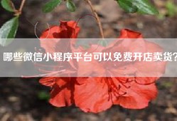 哪些微信小程序平台可以免费开店卖货？
