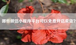 哪些微信小程序平台可以免费开店卖货？