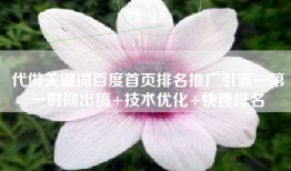 代做关键词百度首页排名推广引流—第一时间出稿+技术优化+快速排名