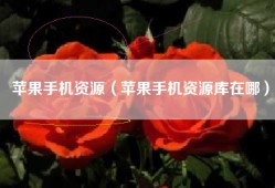 苹果手机资源（苹果手机资源库在哪）
