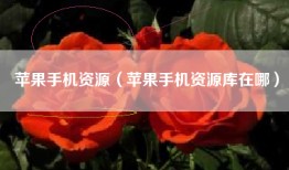 苹果手机资源（苹果手机资源库在哪）