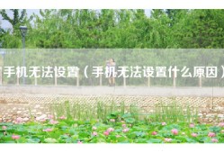 手机无法设置（手机无法设置什么原因）