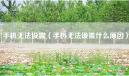 手机无法设置(手机无法设置什么原因)