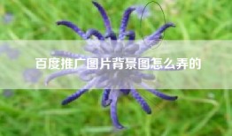 百度推广图片背景图怎么弄的