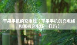 苹果手机的充电线（苹果手机的充电线和耳机充电线一样吗）