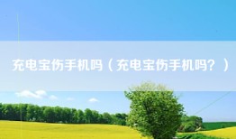 充电宝伤手机吗（充电宝伤手机吗？）