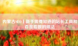 内蒙古SEO丨新手需要知道的站长工具和百度指数的用法
