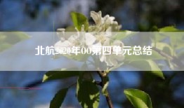 北航2020年OO第四单元总结