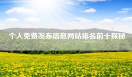 个人免费发布信息网站排名前十探秘