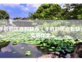手机的优点和缺点（手机的优点和缺点英语作文）