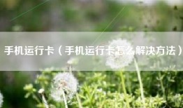 手机运行卡（手机运行卡怎么解决方法）