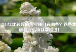 2024年比较好的创业项目有哪些？这些靠谱创业小项目别错过！