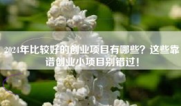 2024年比较好的创业项目有哪些？这些靠谱创业小项目别错过！