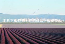 手机下载秒拍（秒拍可以下载视频么）