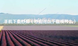 手机下载秒拍（秒拍可以下载视频么）