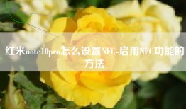 红米note10pro怎么设置NFC-启用NFC功能的方法