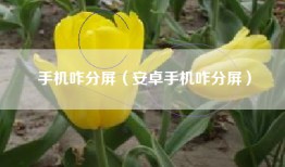 手机咋分屏（安卓手机咋分屏）