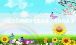 小红书如何修改笔记名字、昵称和头像