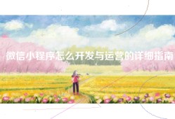 微信小程序怎么开发与运营的详细指南
