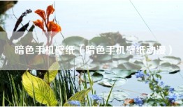 暗色手机壁纸（暗色手机壁纸动漫）