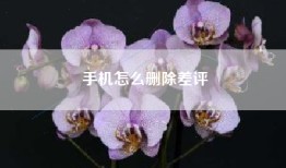 手机怎么删除差评