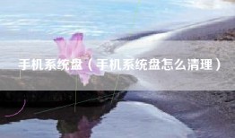 手机系统盘（手机系统盘怎么清理）