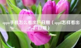oppo手机怎么看出厂日期（oppo怎样看出厂日期）
