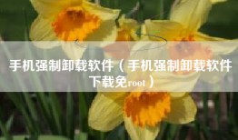 手机强制卸载软件（手机强制卸载软件下载免root）