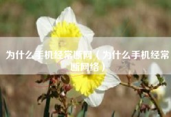 为什么手机经常断网（为什么手机经常断网络）