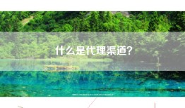 什么是代理渠道？