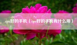 cpu好的手机（cpu好的手机有什么用）