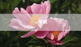 sss手机