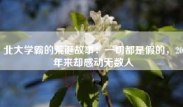 北大学霸的荒诞故事：一切都是假的，20年来却感动无数人