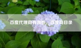百度代理商有哪些，百度商目录