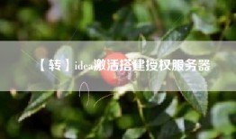 【转】idea激活搭建授权服务器