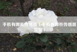 手机有哪些传感器（手机有哪些传感器类型）