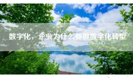 数字化，企业为什么要做数字化转型​