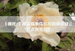 《哪吒2》被盗摄事件引发的保险疑云：这次能赔吗？