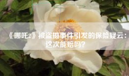 《哪吒2》被盗摄事件引发的保险疑云：这次能赔吗？