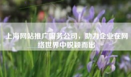 上海网站推广服务公司，助力企业在网络世界中脱颖而出