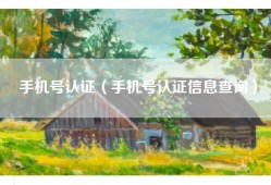 手机号认证（手机号认证信息查询）