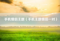 手机情侣主题（手机主题情侣一对）