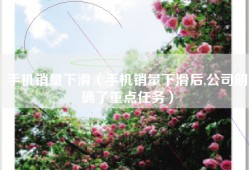 手机销量下滑（手机销量下滑后,公司明确了重点任务）