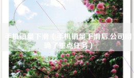 手机销量下滑（手机销量下滑后,公司明确了重点任务）