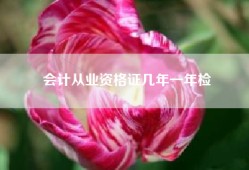 会计从业资格证几年一年检