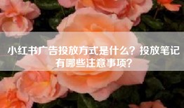 小红书广告投放方式是什么？投放笔记有哪些注意事项？
