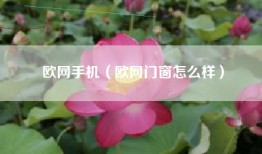 欧网手机（欧网门窗怎么样）