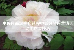 小程序商城推广过程中做好节日营销活动的六大技巧